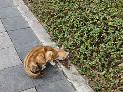-金砂公园