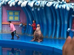 -华夏文旅海洋公园