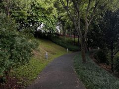 -深圳湾公园(南山区)