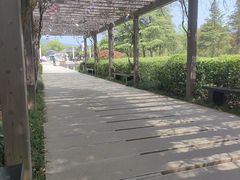 -白马涧龙池景区