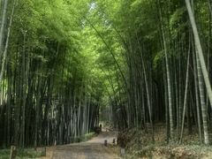 -苏州环秀晓筑养生度假村