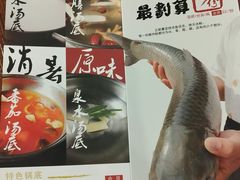 -正能量脆肉鲩火锅