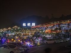 -枇杷园食为鲜火锅(南山店)