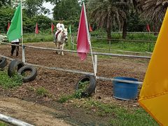 -森波拉奇妙世界