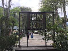 -瑞穗牧场