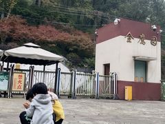 -大金鹰园