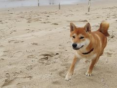 -西涌国际滨海旅游区