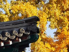 -北京石刻艺术博物馆(五塔寺)