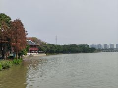 -顺峰山公园