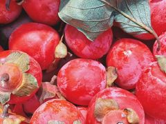 -清真石家包子(大皮院总店)