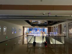 -幸福蓝海国际影城(河西店)