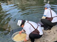 -姚记抚仙湖石锅鱼庄