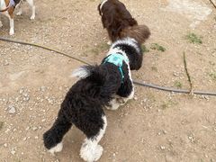 -小意思咖啡店(草桥店)