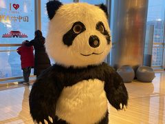 -南昌双子塔303观光厅
