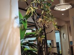 -Wagas沃歌斯(枫蓝国际店)