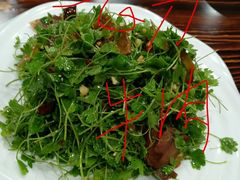 -青藤汗蒸时代会所