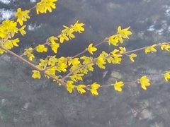 -莲湖公园