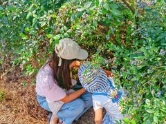 -金谷域澳洲庄园