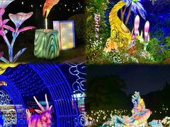 -白马涧龙池景区