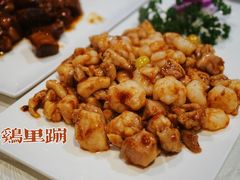 -丁老爷子苏香圆