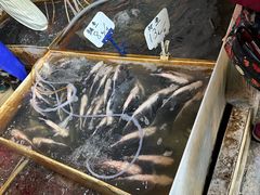-葑门横街