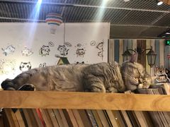 -小时光咖啡馆(开森度假森林店)