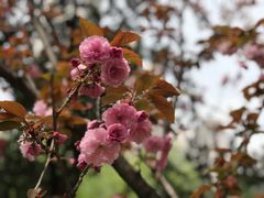 -苏州河梦清园环保主题公园