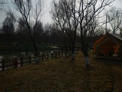 -九科绿洲