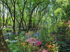 -上海共青森林公园