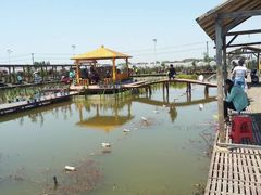 -同銮特种养殖场·龙虾垂钓