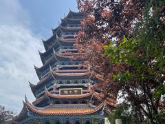 -铁山坪森林公园