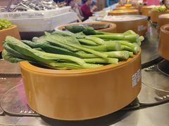 -龍歌自助小火锅(市北CBD万达店)
