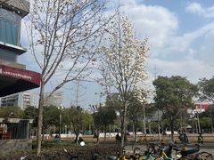 -四川大学(江安校区)