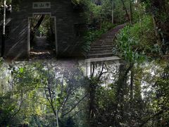 -水濂山森林公园