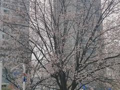 -南京中医药大学(仙林校区)