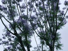 -沐仙湖湿地公园