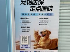 -全心全意连锁动物医院·微创中心·内科急重症·心脏专科(丰管路店)
