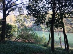 -杭州花家山庄