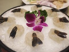 -沙龙酒家