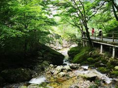 -牛背梁国家森林公园