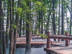 -东湖落雁景区
