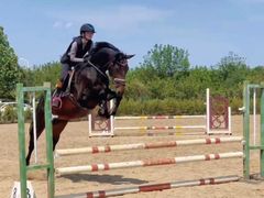 -北京群众马术培训基地