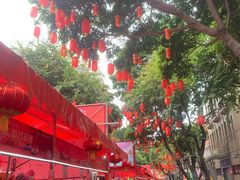 -越秀西湖花市(广州城市广场花卉店)