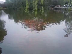 -兰剑驾校(汉阳校区)