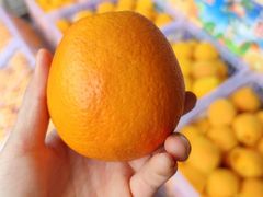 -南京众彩农副产品配送有限公司