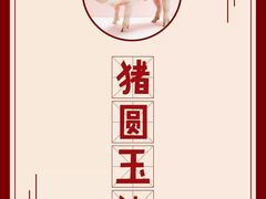 -乐乐姐超级土豆(中关村5号店)