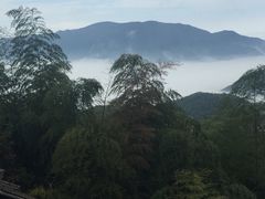 -江南天池高山汤泉城