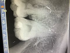 -瑞尔齿科(南京东路名人诊所)