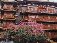 -越秀西湖花市(广州城市广场花卉店)