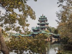 -桂湖森林公园